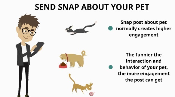 Send Snap About Your Pet