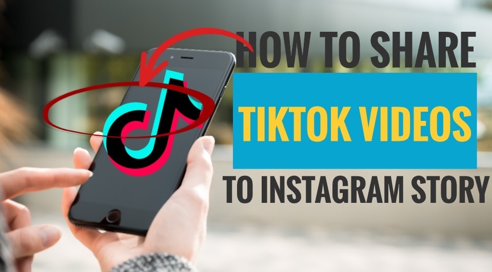 How to Share TikTok Videos to Instagram Story - My Media Social